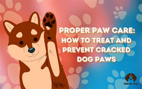 Paw Caretreat And Prevent Cracked Dog Paws Hellow Dog