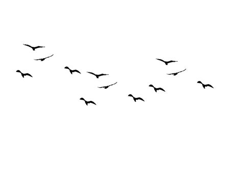 Fly Drawing Bird Silhouette Tattoos Flying Bird Silhouette