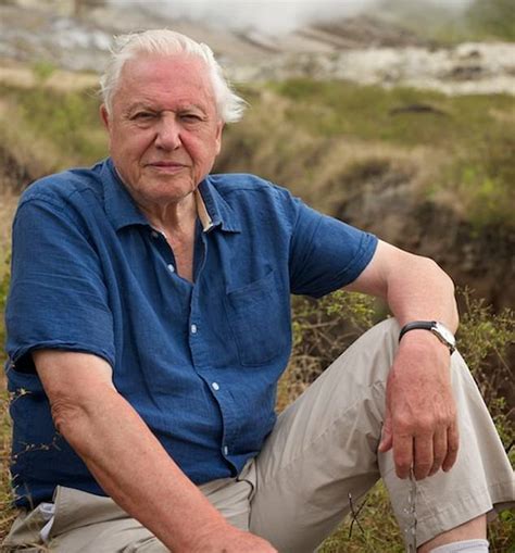 david attenborough voted britain s favourite tv presenter of all time express digest