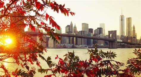 11 Photos That Prove Theres Nothing Like Brooklyn In The Fall A