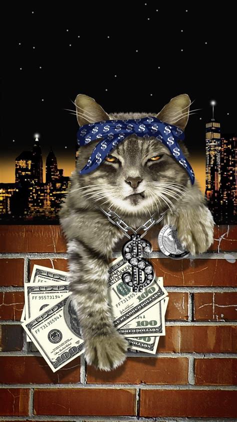 Gangster Cat Wallpapers Wallpaper Cave