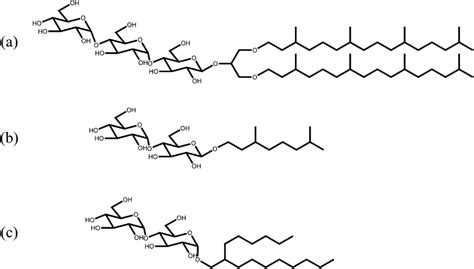 Examples Of Synthetic Branch Chained Glycolipids A Double Chained