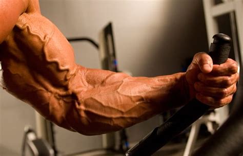How To Increase Vascularity And Get Veins In Arms