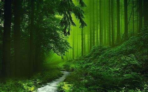 Green Scenery Wallpapers Hd Wallpaper Cave