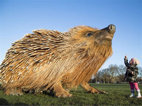 Lifelike Sculpture Of A Giant Hedgehog Installed In A London Park To
