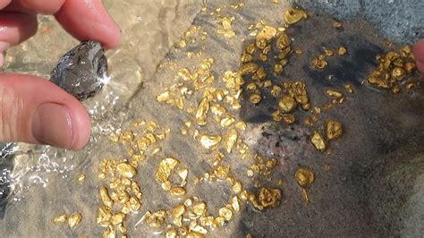 The Richest Placer Of Gold It Is A Delight Stones Nuggets And I