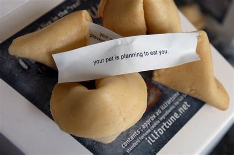 crack irreverent fortune cookies for april fools day food and cooking