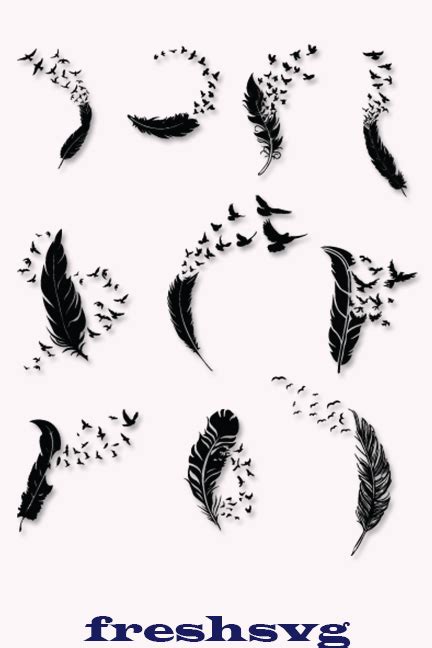 The Silhouettes Of Different Birds And Feathers On A White Background