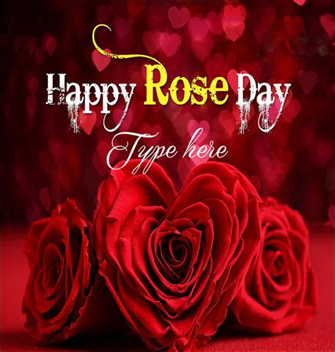 7th February Rose Day August 2021
