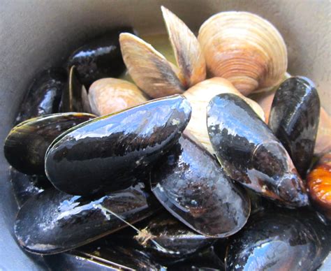 Tj S Seafood Market Shows Us How To Make Mussels And Clams In A White Wine And Garlic Sauce