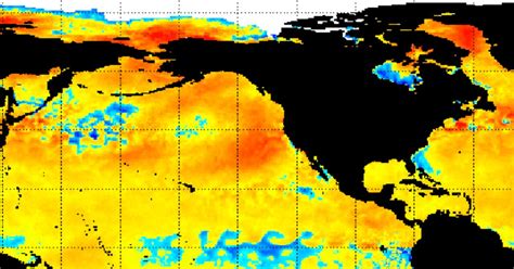 A New Big Warm Blob Is Back In The North Pacific Ocean