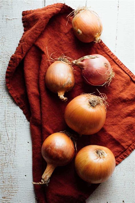 Produce Spotlight The Ultimate Guide To Onions Laptrinhx News