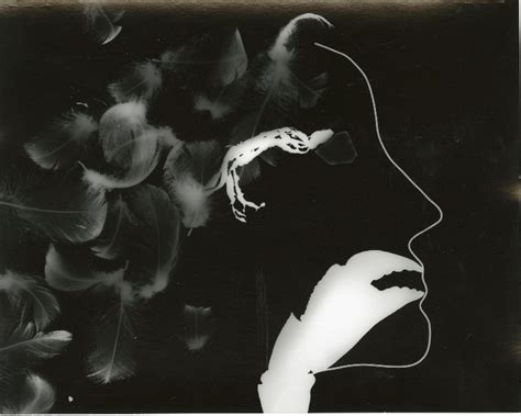 Photograms Photography At Williams