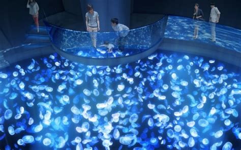 Tokyo Aquariums Reopening Showcases A Revamped Ethereally Beautiful