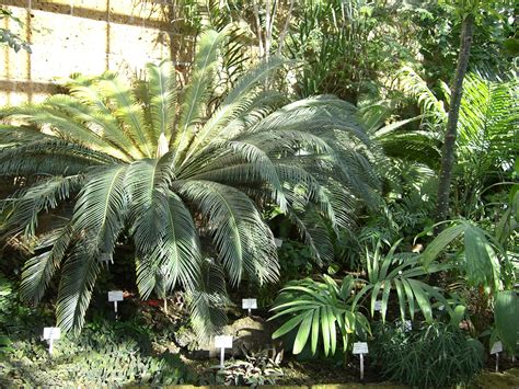 The botanical garden of the tu braunschweig (botanischer garten der technischen universität braunschweig) was founded in 1840 by johann heinrich blasius on the banks of the river oker on the grounds of the former stately mansion in the woods of. Botanischer Garten Braunschweig am 4.4.2007*