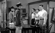 Francis Goes to West Point, un film de 1952 - Télérama Vodkaster