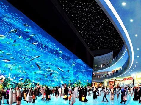 Dubai Aquarium Series The Coolest And Largest Oceanariums In The