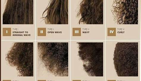 Natural hair typing system | Natural hair types, Hair chart, Hair