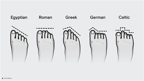 The Evolution Of Your Feet Neatsy Blog