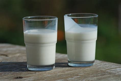 What Is The Difference Between Buttermilk And Sour Milk Pediaacom