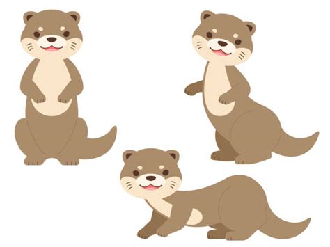 Cute Otter Clipart