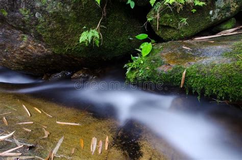 Waterfall With Stone Of Green Moss In Rain Forest