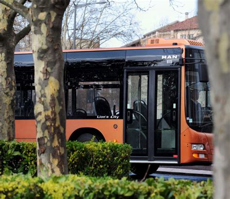 Maybe you would like to learn more about one of these? Transports