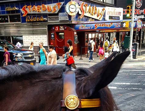 Maybe you would like to learn more about one of these? Ellen's Stardust Diner | Times square new york, Nyc ...