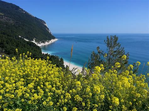 ˈmonte ˈkɔːnero) or mount conero, also known as monte d'ancona (mount of ancona), is a promontory in italy, situated directly south of the port of ancona on the adriatic sea. Conero (Ancona) | Conoscenza