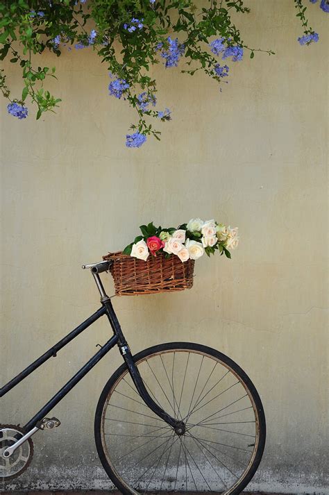 Bicycle By Stocksy Contributor Mary Anne Grobler Stocksy