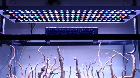 Akuarium berukuran 40 x 30 x 35 cm berapakah kebutuhan besaran lampu ? Menyalakan Lampu Aquascape lewat wifi - YouTube