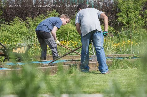 City And Guilds Level 2 Diploma In Practical Horticulture Skills