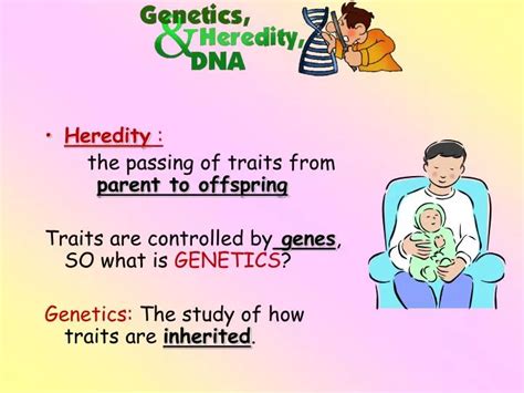 Ppt Heredity The Passing Of Traits From Parent To Offspring