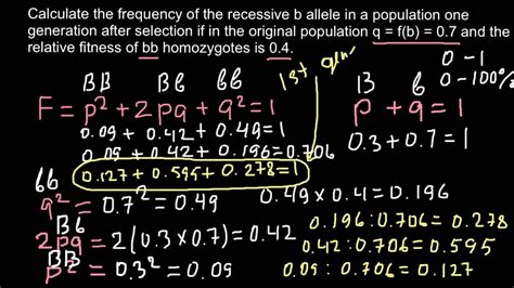 How To Calculate Allele Frequency In The F2 Generation Youtube