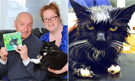 Pet Cat Suffered Serious Burns When Her Twisted Owner Microwaved Her