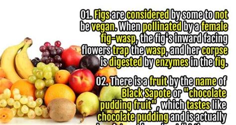 50 Interesting Facts About Fruits Fact Republic