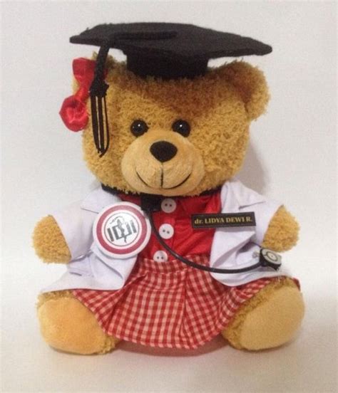 Jual Boneka Wisuda Teddy Bear Dokter Bidan Kedokteran Kado Unik Lucu