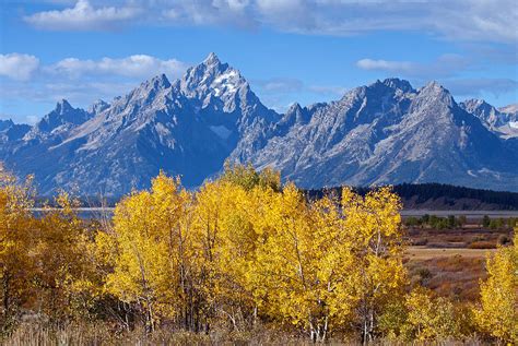 Autumn In The Tetons Photograph By Shari Sommerfeld