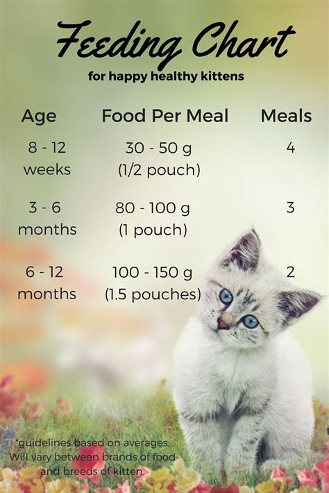 Dry Cat Feeding Chart By Age Catsbh