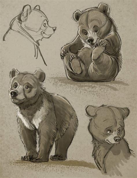 How To Draw Bears Tutorials And Video Lessons With Aaron Blaise Artofit