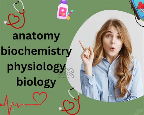 Tutor You Anatomy Biochemistry And Physiology By Drawais1 Fiverr