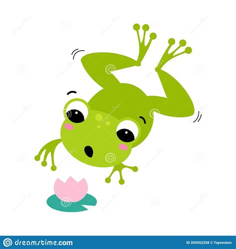 Funny Green Frog With Protruding Eyes Watching Waterlily Flower Vector
