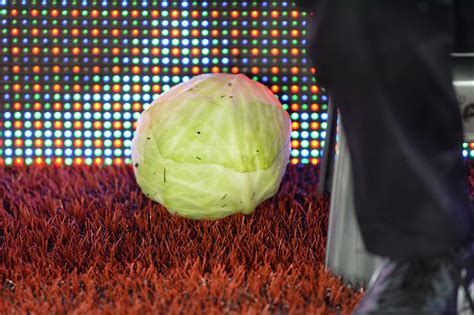 Steve bruce's side have won three of their 11 championship games this season. Jack Grealish breaks silence on Steve Bruce's Aston Villa ...