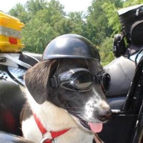 Lifeunion Funny Cool Pet Doggie Motorcycles Bike Helmet Cap Hat