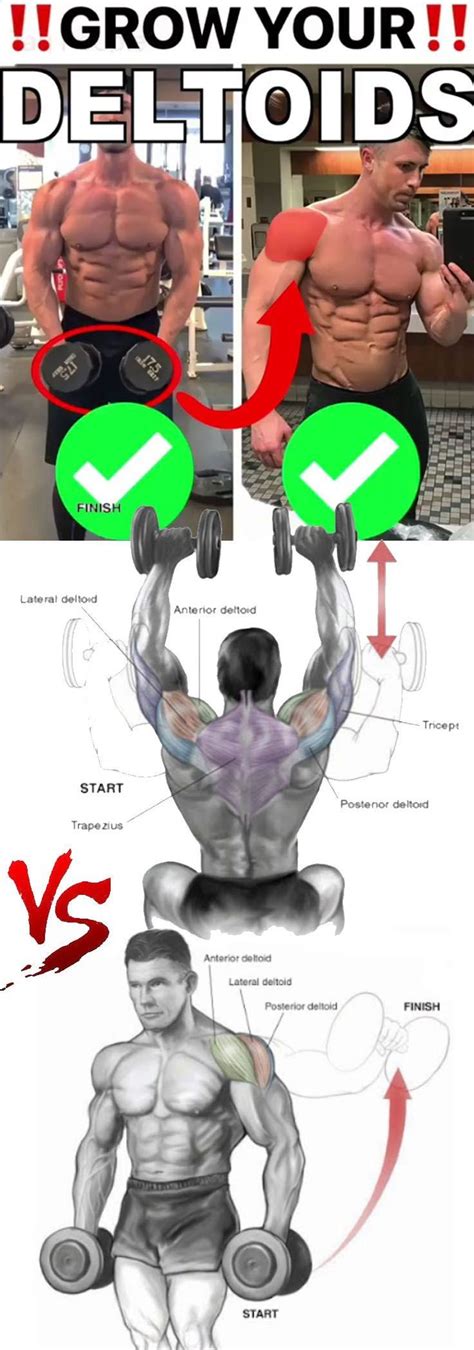 Muscles worked the dumbbell shoulder press is a movement similar to the strict press (barbell) that can produce significant growth of the shoulder, triceps, and upper chest. Dumbbell Shoulder Press | Shoulder muscles workout, Delts ...