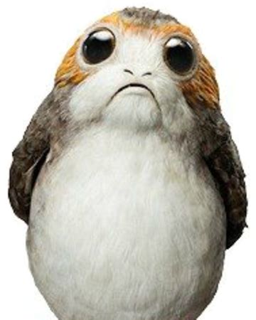 • below is yescoloring's back in the day star wars and superhero coloring pages video (we have to. Porg | Star wars drawings, Star wars fandom, Star wars art
