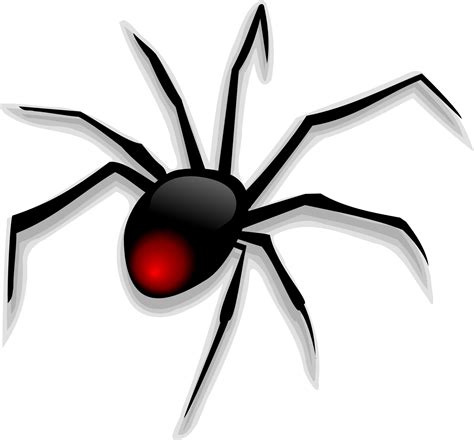 Cartoon Animal Black Spider Vector Free Psdvectoricons