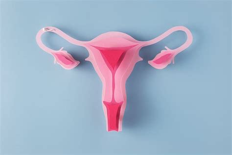 Patologías del sistema reproductor femenino y diagnóstico