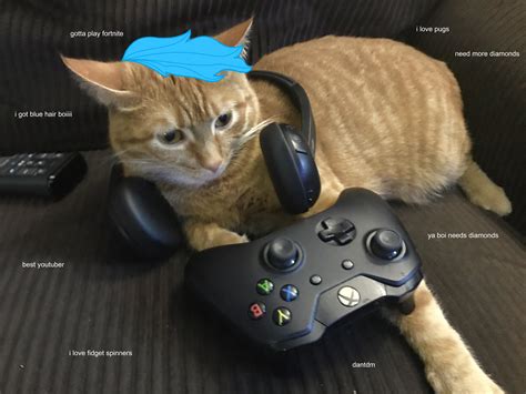 Dantdm Turns Into A Cat And Plays Fortnite Cat Mem Kitty Games