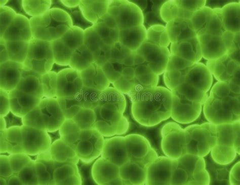 Bacteria Cell Cluster Abstract Stock Illustration Illustration Of